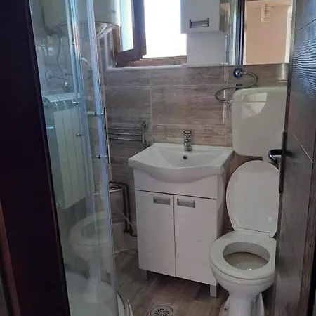 Tara Medina Koliba *